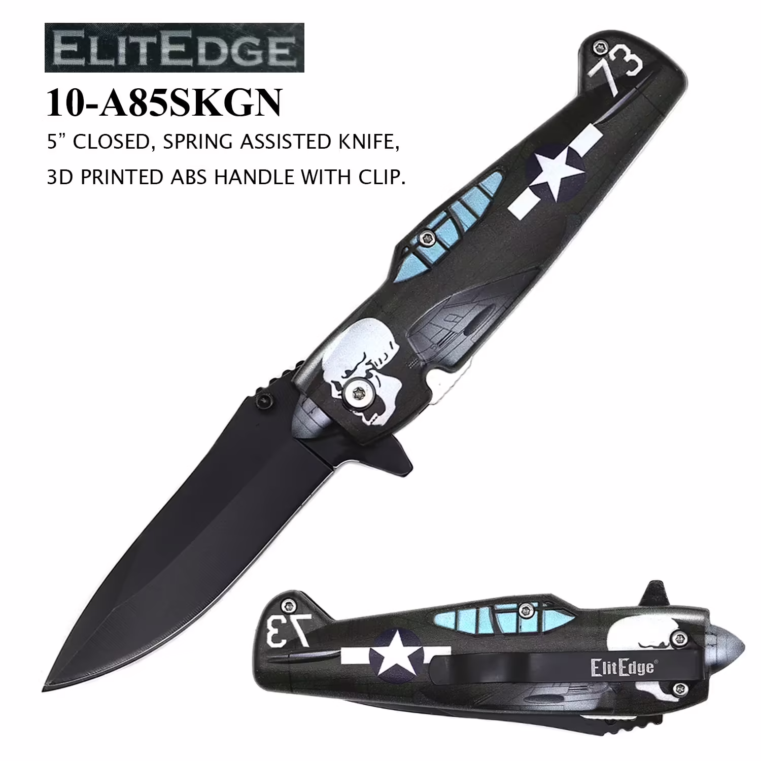 10-A85SKGN Black Skull Fighter Plane